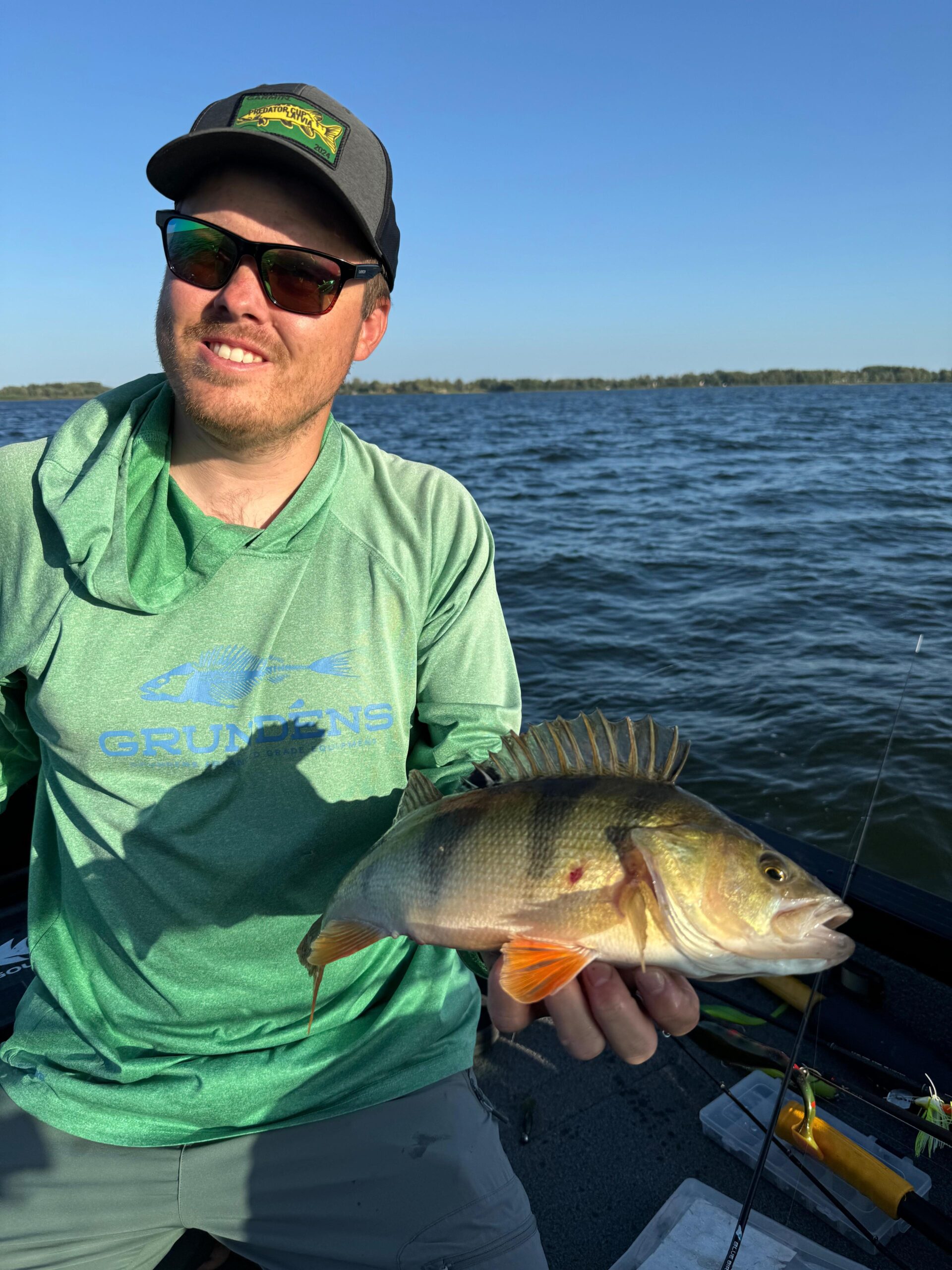 Perch fishing in lake Aluksne